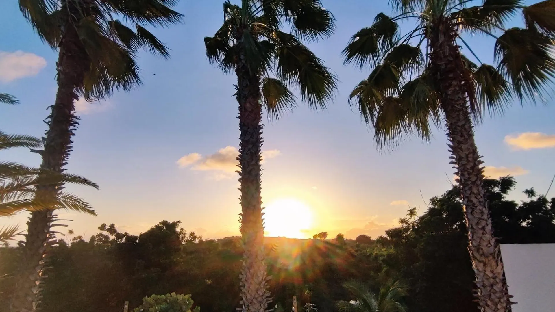 Saint Joris A Tiny Boutique Resort ウィレムスタッド キュラソー