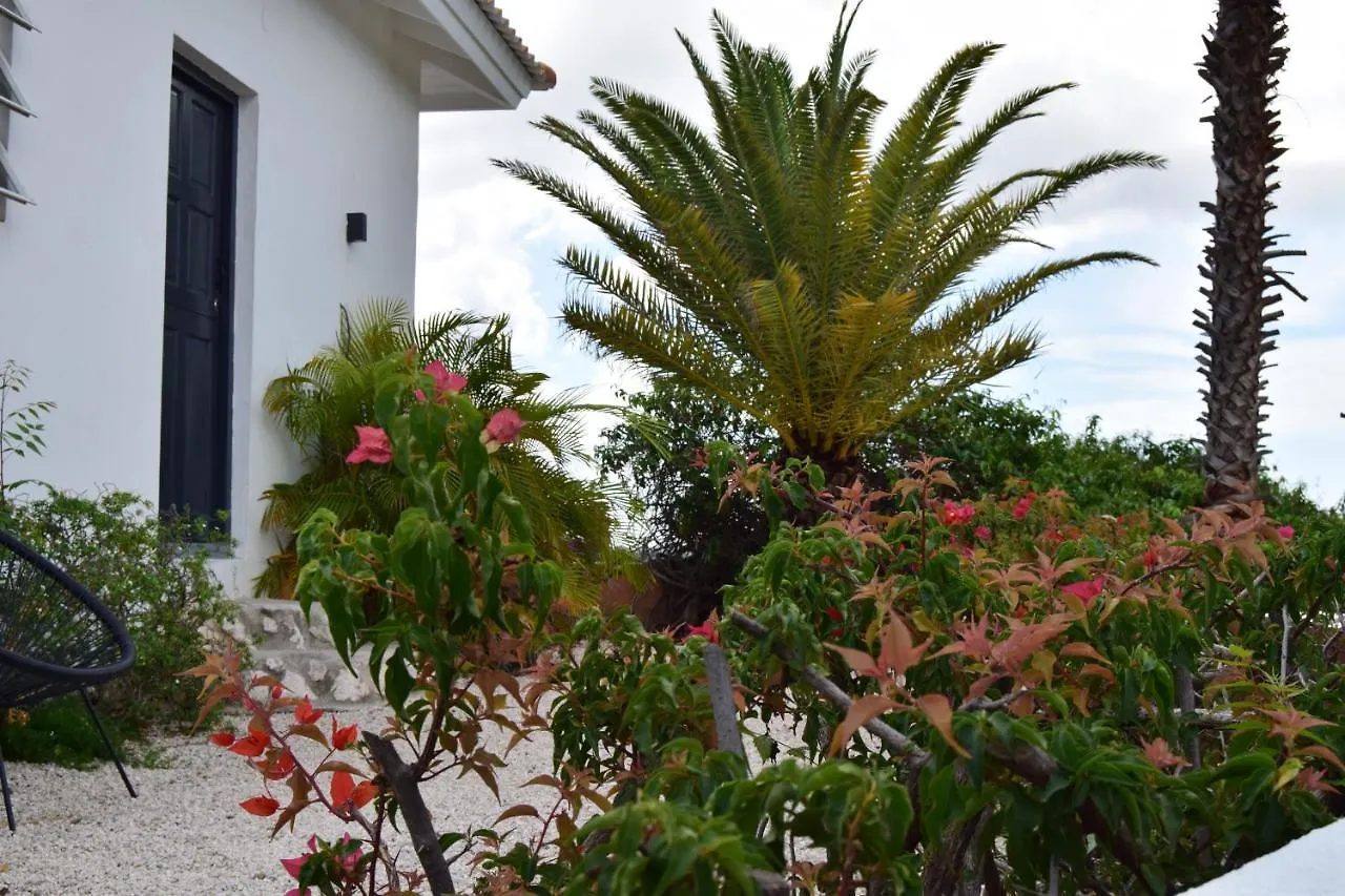 Saint Joris A Tiny Boutique Resort Виллемстад 0*,  Кюрасао